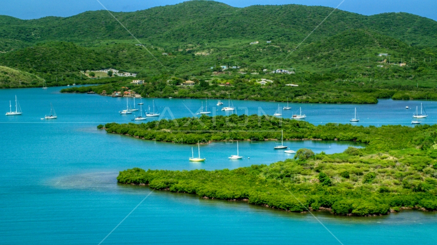 Sail boats in sapphire blue waters along tree covered coasts, Culebra, Puerto Rico Aerial Stock Photo AX102_141.0000000F | Axiom Images