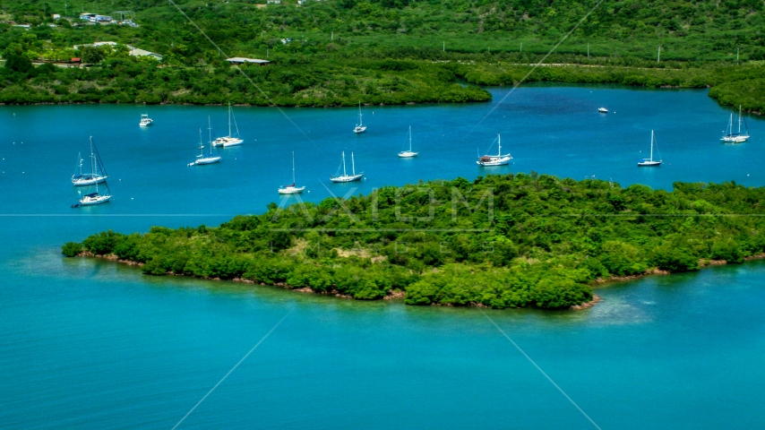 Group of sail boats in sapphire blue waters by tree covered coasts, Culebra, Puerto Rico Aerial Stock Photo AX102_141.0000223F | Axiom Images