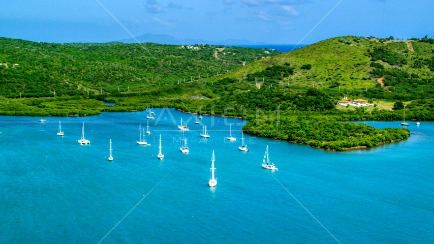 Group of sailboats in sapphire blue waters by an island coast, Culebra, Puerto Rico Aerial Stock Photo AX102_168.0000185F | Axiom Images