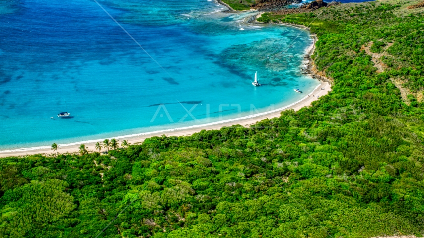 Catamarans by a tropical Caribbean island beach, Culebrita, Puerto Rico Aerial Stock Photo AX102_187.0000283F | Axiom Images