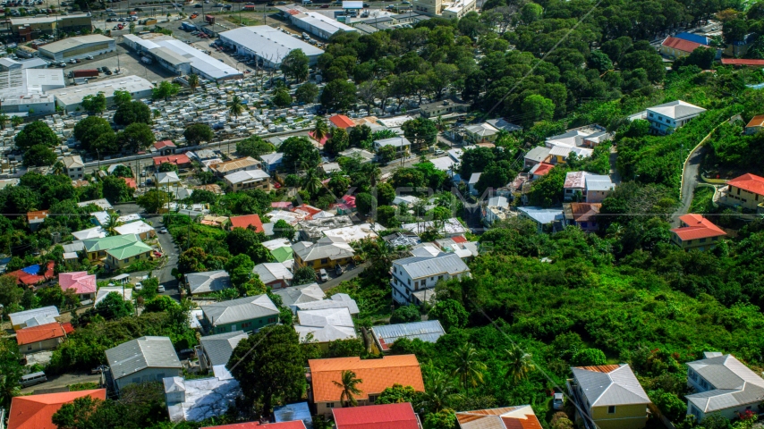Hillside homes among trees in Charlotte Amalie, St Thomas, US Virgin Islands  Aerial Stock Photo AX102_218.0000149F | Axiom Images
