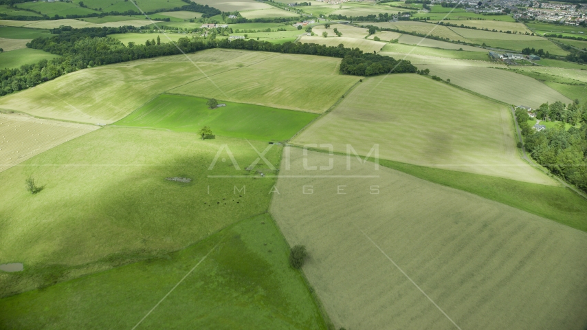 Green farm fields in Stirling, Scotland Aerial Stock Photo AX109_011.0000094F | Axiom Images