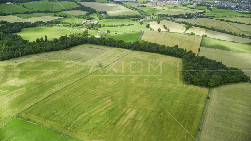 Trees around green fields and farms in Stirling, Scotland Aerial Stock Photo AX109_012.0000084F | Axiom Images