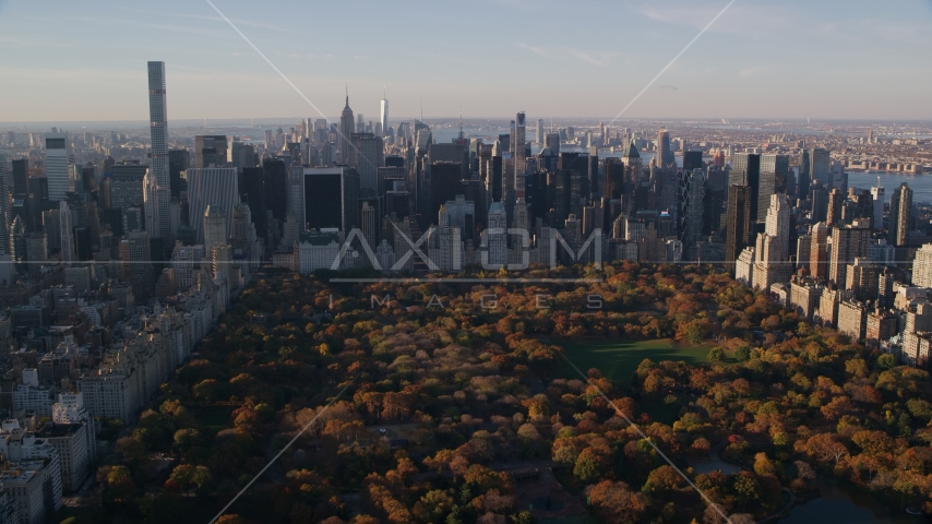 Central Park trees with autumn leaves beside Midtown skyscrapers at sunrise in New York City Aerial Stock Photo AX118_194.0000163F | Axiom Images