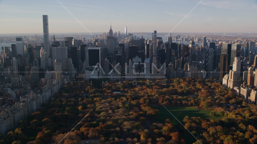 Autumn leaves on Central Park trees by Midtown at sunrise in New York City Aerial Stock Photo AX118_195.0000126F | Axiom Images