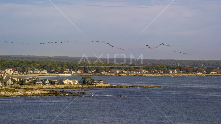 A flock of birds above a coastal town, autumn, Rye, New Hampshire Aerial Stock Photo AX147_163.0000150 | Axiom Images