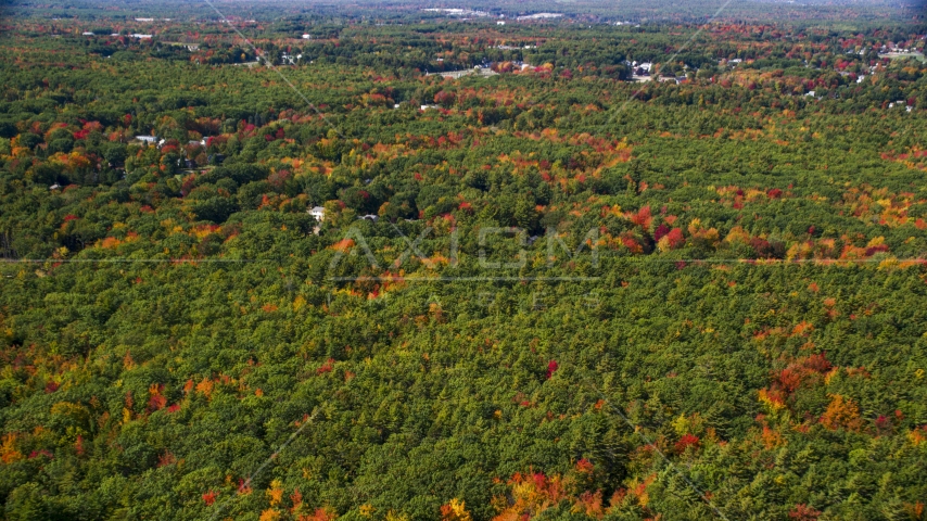 Dense, colorful forest, rural homes, Biddeford, Maine Aerial Stock Photo AX147_279.0000000 | Axiom Images