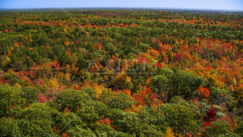 A colorful forest in autumn, Biddeford, Maine Aerial Stock Photo AX147_283.0000024 | Axiom Images