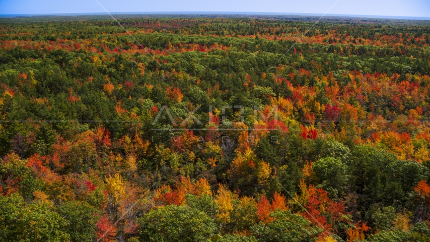 A colorful autumn forest in Biddeford, Maine Aerial Stock Photo AX147_283.0000075 | Axiom Images