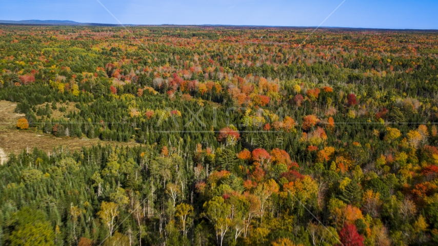 A colorful forest in autumn, Cushing, Maine Aerial Stock Photo AX148_036.0000011 | Axiom Images