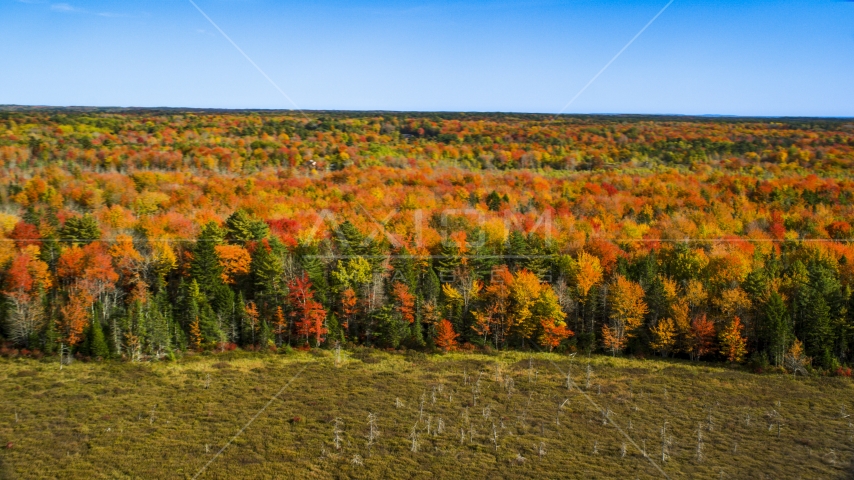 A colorful forest landscape in autumn, Cushing, Maine Aerial Stock Photo AX148_041.0000034 | Axiom Images