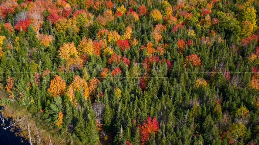 Colorful autumn forest in Cushing, Maine Aerial Stock Photo AX148_048.0000042 | Axiom Images