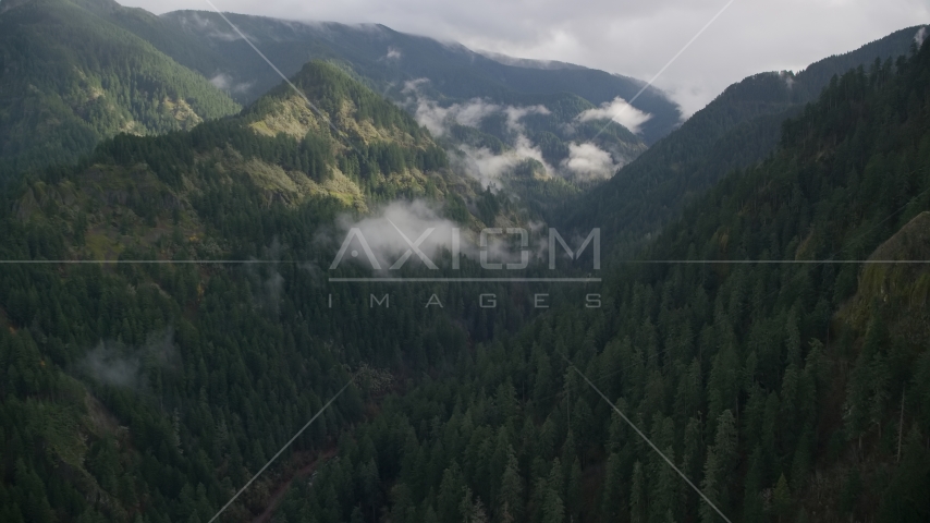 The Eagle Creek Trail canyon in Cascade Range, Hood River County, Oregon Aerial Stock Photo AX154_041.0000122F | Axiom Images
