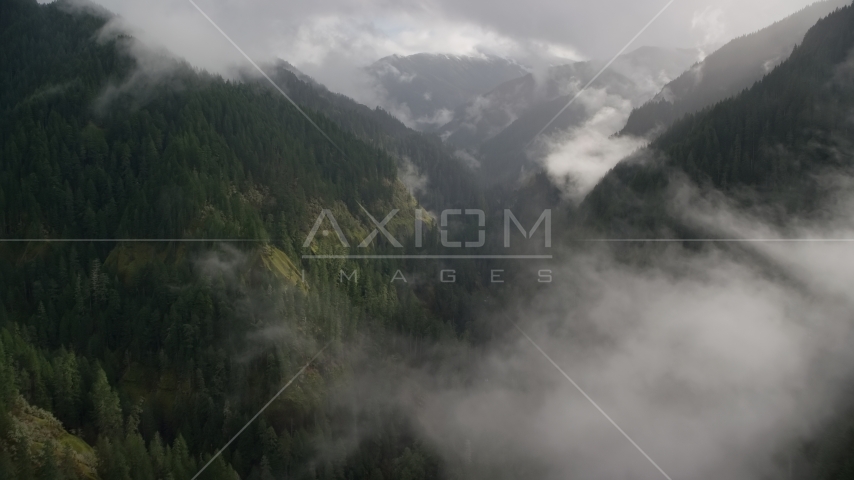 Misty clouds over Eagle Creek Trail in the Cascade Range, Hood River County, Oregon Aerial Stock Photo AX154_046.0000331F | Axiom Images