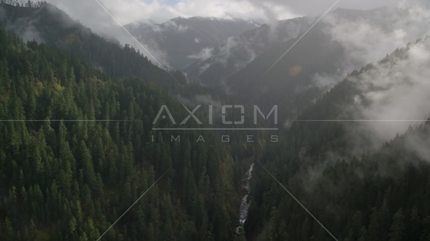 A misty canyon and Eagle Creek Trail, Cascade Range, Hood River County, Oregon Aerial Stock Photo AX154_048.0000236F | Axiom Images