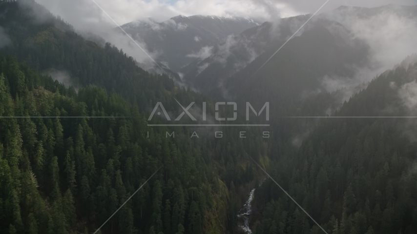 A misty canyon, evergreen forest, and Eagle Creek Trail, Cascade Range, Hood River County, Oregon Aerial Stock Photo AX154_048.0000349F | Axiom Images