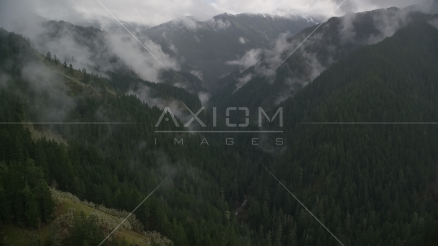 A canyon with Eagle Creek Trail and misty forest in Cascade Range, Hood River County, Oregon Aerial Stock Photo AX154_050.0000000F | Axiom Images