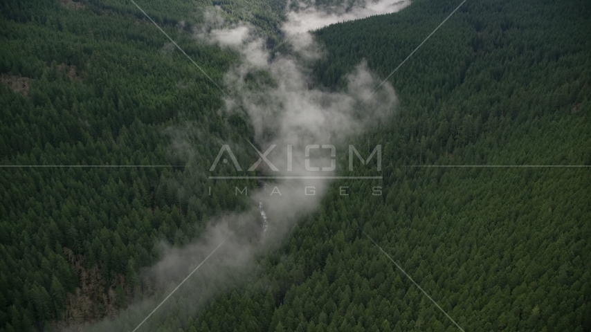 Bird's eye view of mist over a creek, and evergreen forest in the Cascade Range, Hood River County, Oregon Aerial Stock Photo AX154_053.0000311F | Axiom Images