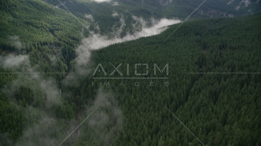 Mist over Eagle Creek Trail in canyon with evergreens in the Cascade Range, Hood River County, Oregon Aerial Stock Photo AX154_054.0000248F | Axiom Images