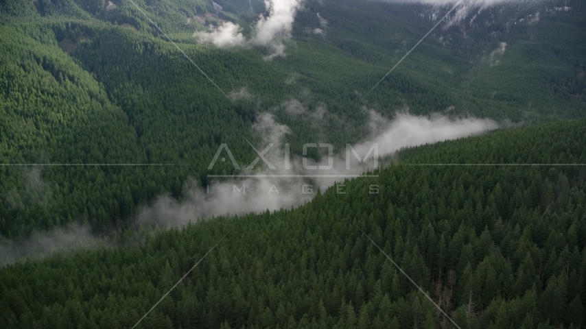 Mist hanging over evergreen trees at the bottom of a canyon in the Cascade Range, Hood River County, Oregon Aerial Stock Photo AX154_056.0000000F | Axiom Images