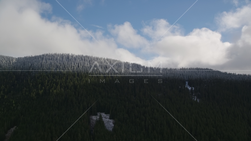 The snow line and snowy evergreen trees atop a mountain ridge, Cascade Range, Hood River County, Oregon Aerial Stock Photo AX154_058.0000000F | Axiom Images