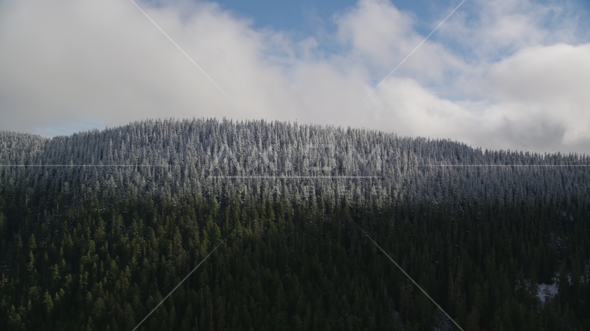 Snow line and snowy evergreen trees atop a mountain ridge, Cascade Range, Hood River County, Oregon Aerial Stock Photo AX154_058.0000291F | Axiom Images