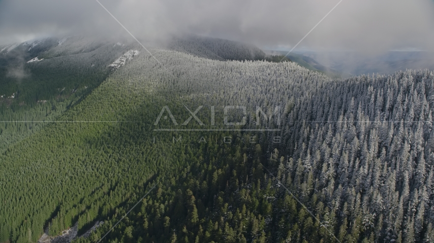 Snow line on evergreen trees atop a mountain ridge, Cascade Range, Hood River County, Oregon Aerial Stock Photo AX154_059.0000074F | Axiom Images