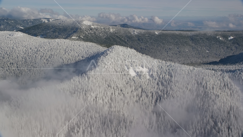 A snow covered mountain ridge and forest in the Cascade Range, Oregon Aerial Stock Photo AX154_100.0000000F | Axiom Images