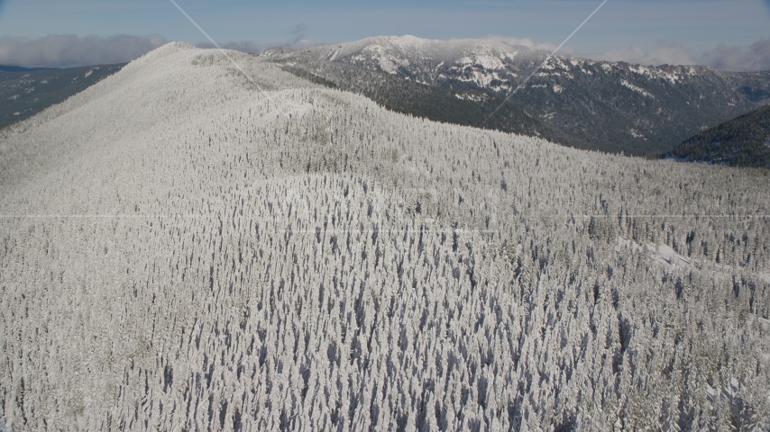 Forest on a snowy mountain ridge in the Cascade Range, Oregon Aerial Stock Photo AX154_102.0000220F | Axiom Images