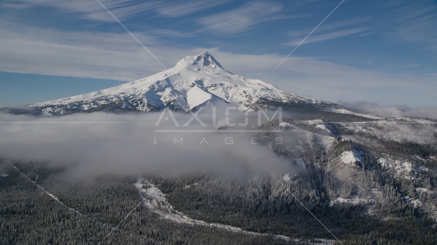 Low clouds over evergreen forest near the peak covered in snow, Mount Hood, Cascade Range, Oregon Aerial Stock Photo AX154_109.0000000F | Axiom Images