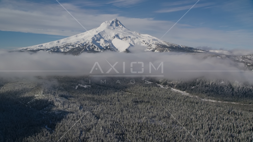 A snowy mountain peak, low clouds, and forest, Mount Hood, Cascade Range, Oregon Aerial Stock Photo AX154_118.0000335F | Axiom Images