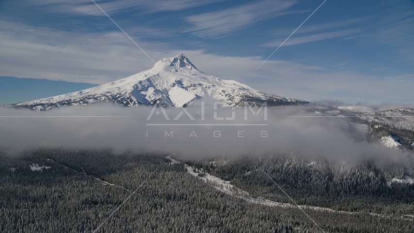 Snow-capped peak and low clouds over forest, Mount Hood, Cascade Range, Oregon Aerial Stock Photo AX154_119.0000258F | Axiom Images
