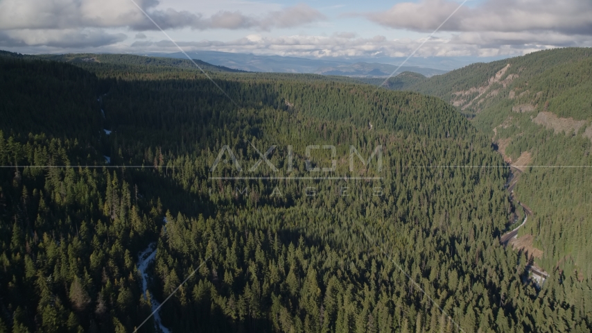 A canyon and evergreen forest near Highway 35, Cascade Range, Hood River Valley, Oregon Aerial Stock Photo AX154_127.0000170F | Axiom Images