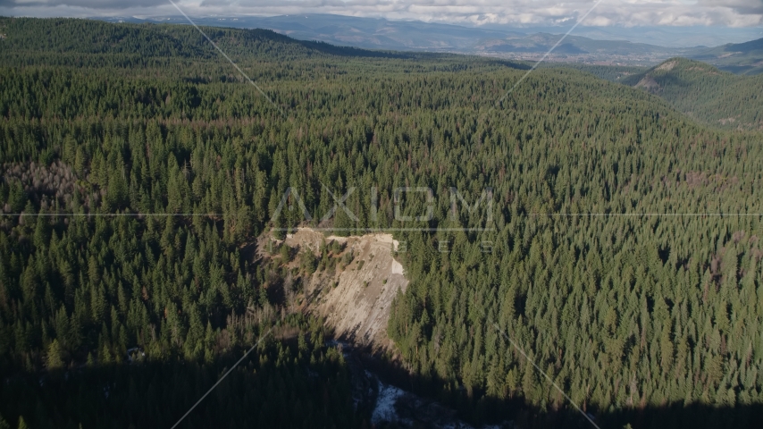 An evergreen forest in the Cascade Range, Hood River Valley, Oregon Aerial Stock Photo AX154_129.0000284F | Axiom Images
