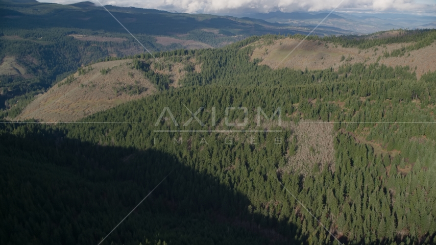 An evergreen forest and clear cut logging areas near Dee, Oregon Aerial Stock Photo AX154_145.0000127F | Axiom Images