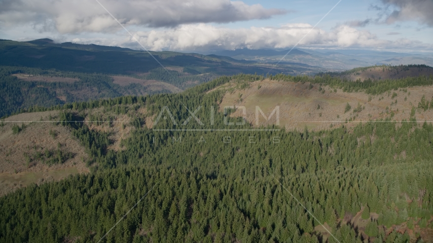 Evergreen forest and logging areas, Dee, Oregon Aerial Stock Photo AX154_146.0000000F | Axiom Images