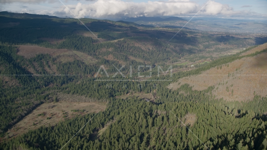 An evergreen forest clear cut area in Dee, Oregon Aerial Stock Photo AX154_147.0000301F | Axiom Images