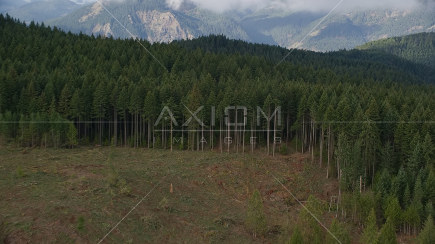The edge of evergreen forest and a clear cut area in Hood River, Oregon Aerial Stock Photo AX154_151.0000000F | Axiom Images
