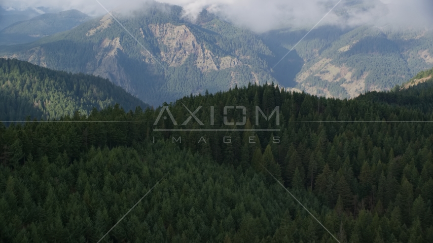 Evergreen forest and distant mountains, Hood River, Oregon Aerial Stock Photo AX154_151.0000272F | Axiom Images