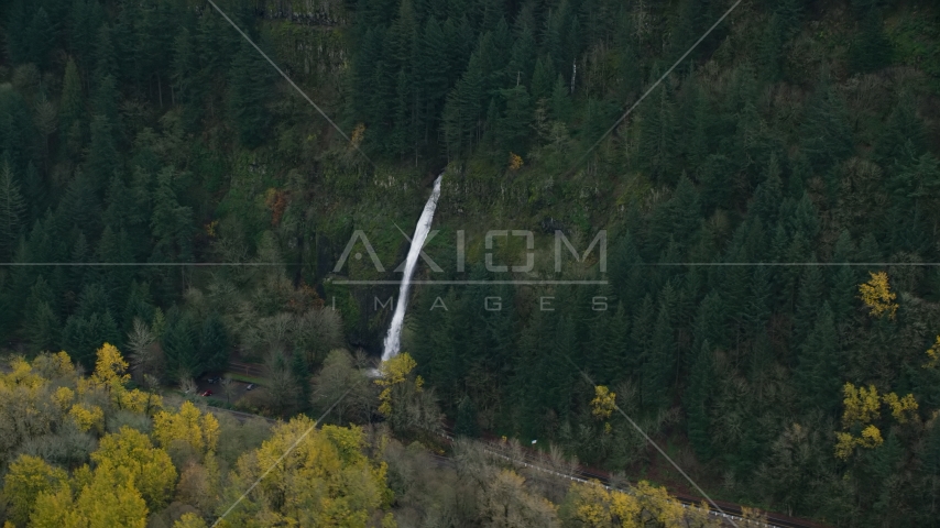 A waterfall and forest on the Oregon side of Columbia River Gorge Aerial Stock Photo AX154_186.0000106F | Axiom Images