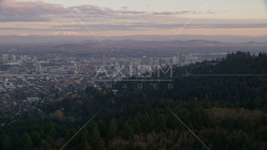 Mount Hood and Downtown Portland at sunset, seen from evergreen forest and hills in Northwest Portland, Oregon Aerial Stock Photo AX155_140.0000337F | Axiom Images