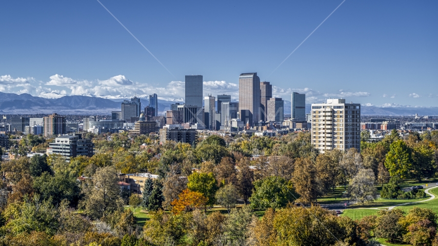 The city skyline seen from a park with tall trees, Downtown Denver, Colorado Aerial Stock Photo DXP001_000156 | Axiom Images