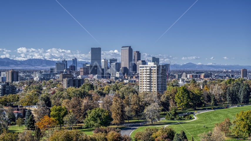 The city's skyline viewed from a park with tall trees, Downtown Denver, Colorado Aerial Stock Photo DXP001_000157 | Axiom Images