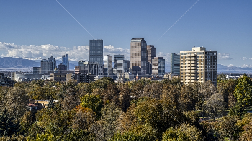 The skyline's tall skyscrapers seen from a cluster of trees, Downtown Denver, Colorado Aerial Stock Photo DXP001_000160 | Axiom Images