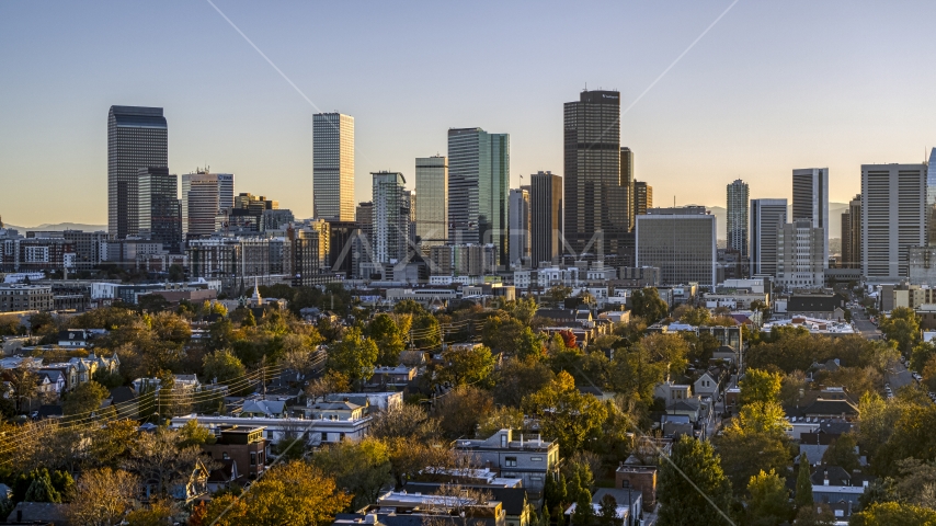 City's skyline seen from tree-lined residential neighborhood at sunset, Downtown Denver, Colorado Aerial Stock Photo DXP001_000180 | Axiom Images