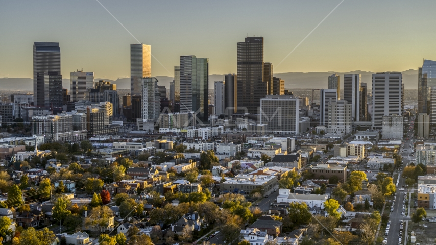 City's skyline seen from tree-lined neighborhood at sunset, Downtown Denver, Colorado Aerial Stock Photo DXP001_000181 | Axiom Images