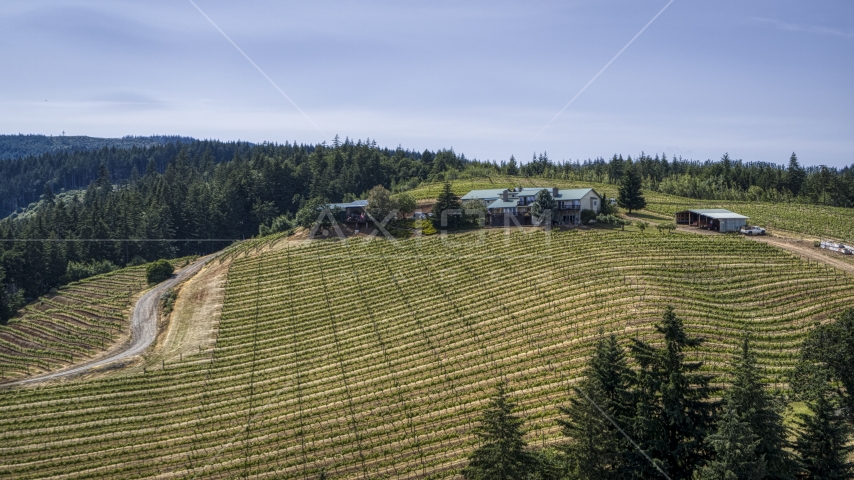 Phelps Creek Vineyards grapevines and a hilltop home in Hood River, Oregon Aerial Stock Photo DXP001_009_0008 | Axiom Images