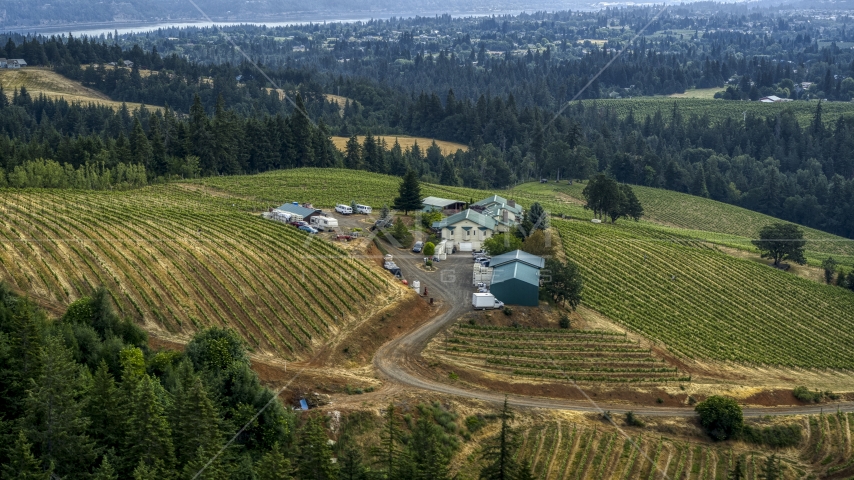 Buildings and grapevines at Phelps Creek Vineyards in Hood River, Oregon Aerial Stock Photo DXP001_015_0018 | Axiom Images