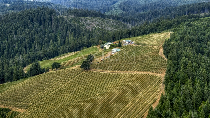 Phelps Creek Vineyards buildings and rows of grapevines in Hood River, Oregon Aerial Stock Photo DXP001_015_0019 | Axiom Images