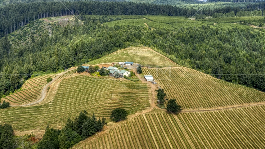 A hilltop covered with grapevines around buildings at Phelps Creek Vineyards in Hood River, Oregon Aerial Stock Photo DXP001_016_0004 | Axiom Images